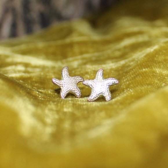 Silver Earrings - Picture 1 of 1
